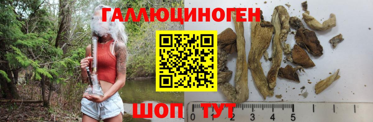 продажа наркотиков  Псилоцибиновые грибы ЛСД  Вход с VPN  Псилоцибиновые грибы прущие грибы  Междуреченск 